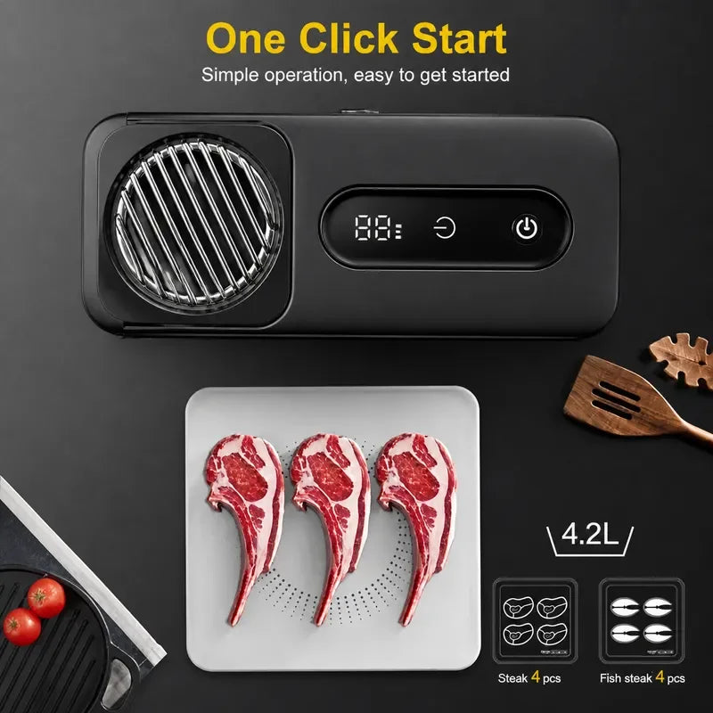 Placa de descongelación ultrarrápida, carga tipo C, carne congelada, mariscos, máquina de recuperación fresca, bandeja de descongelación rápida, cocina