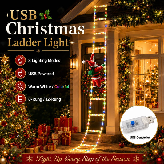 USB Christmas Ladder Lights with Climbing Santa, 8 Modes, Warm White/Colorful, 8/12 Rung LED Holiday Decor