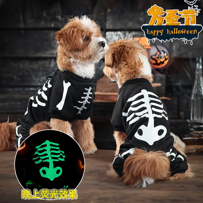 Vestito con ali per cani