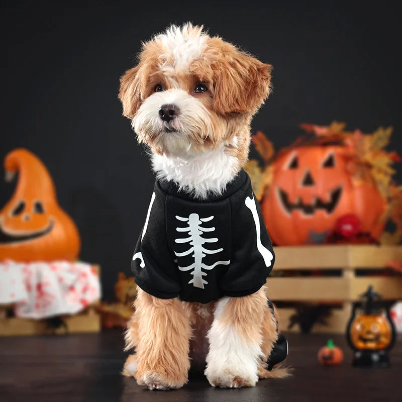 Costume festivo cane piccolo