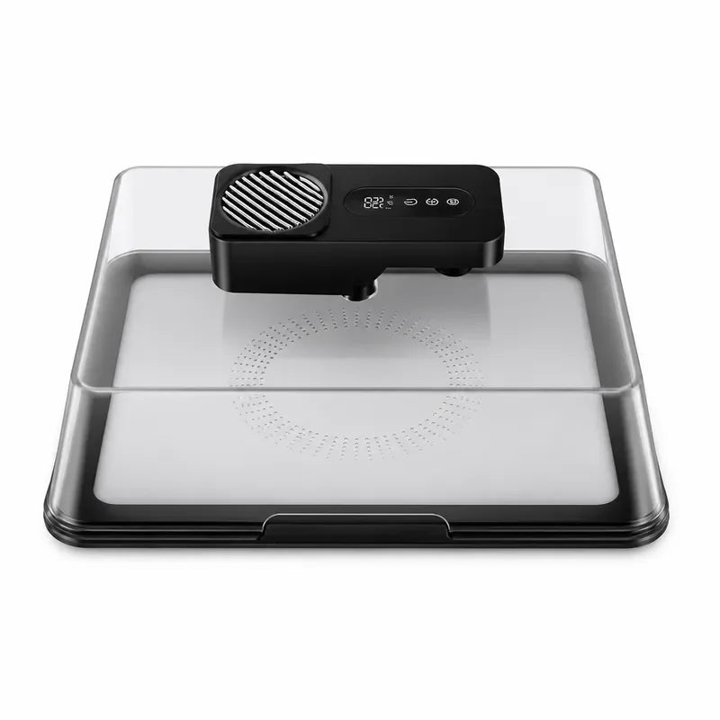 Ultra Fast Defrosting Plate Type C Charging Frozen Food Meat Beef Seafood Fresh Recovery Machine Quick Thawing Tray Kitchen