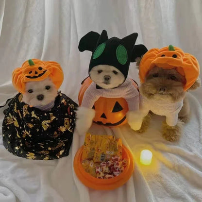 Cane con cappellino Halloween