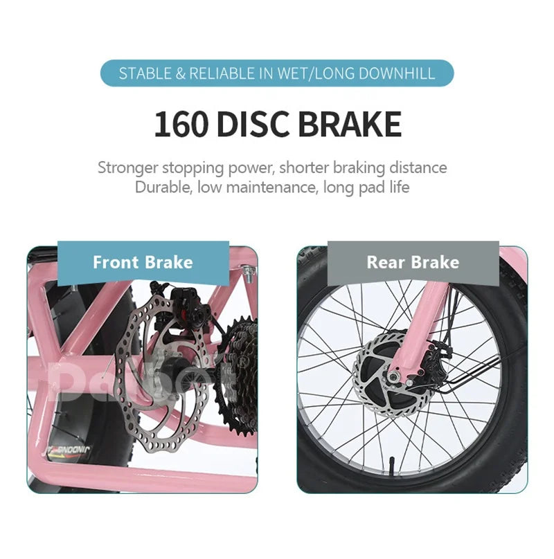 Triciclo eléctrico para adultos 3 ruedas 500W 48V Fat Tire Bicicleta eléctrica de carga para damas Batería extraíble impermeable y antirrobo