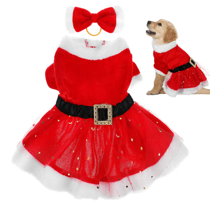 Costume mago per animali