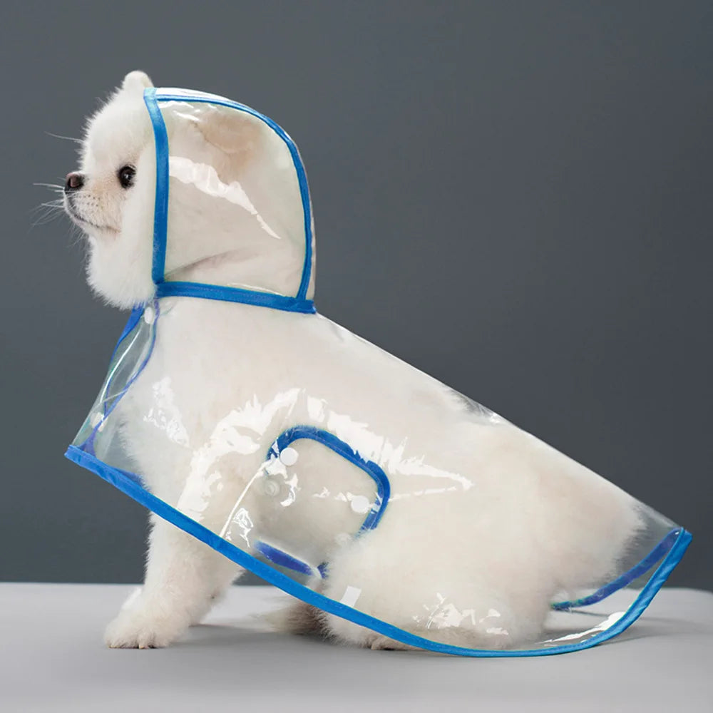 Impermeabile Cane Trasparente