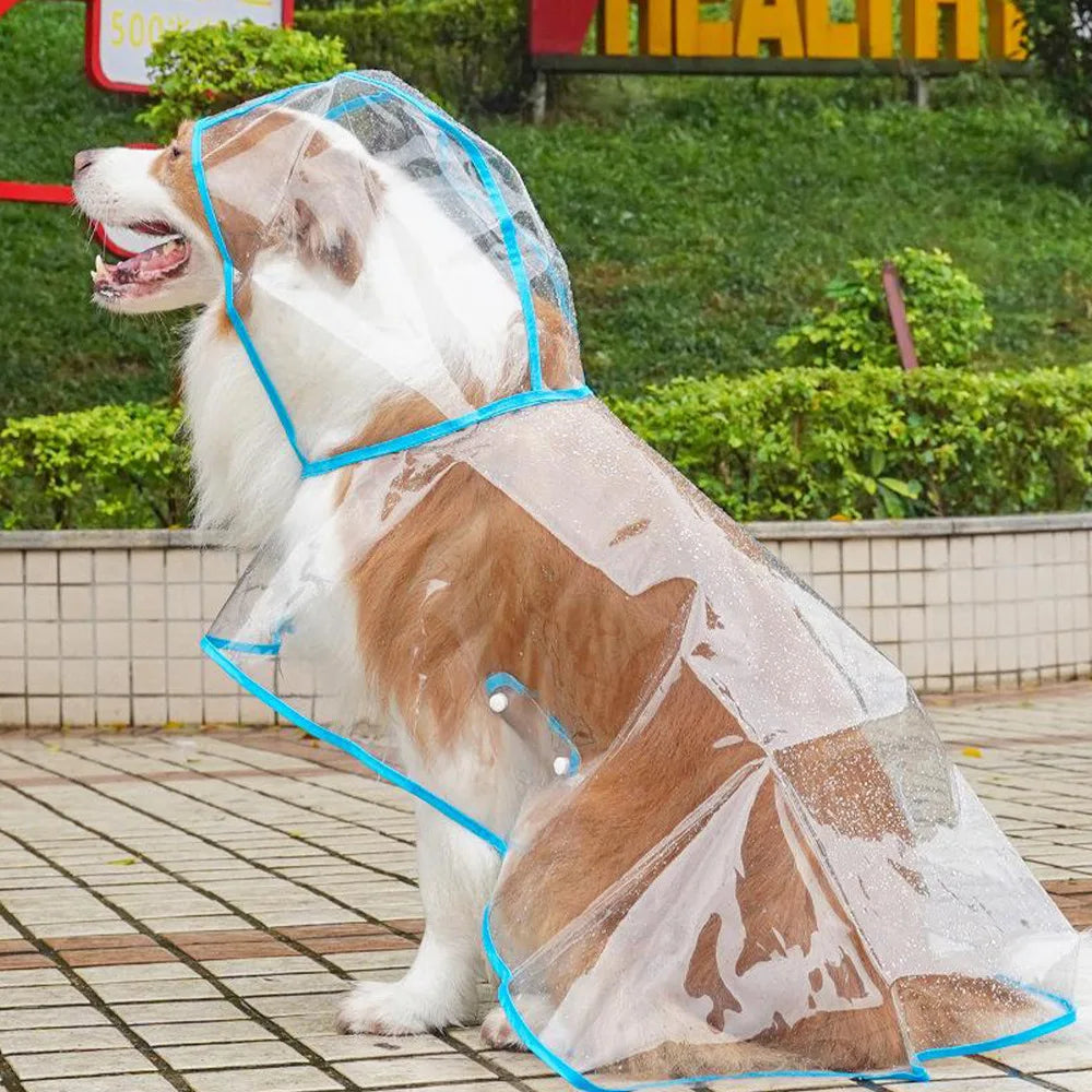 Impermeabile Cane Trasparente 3