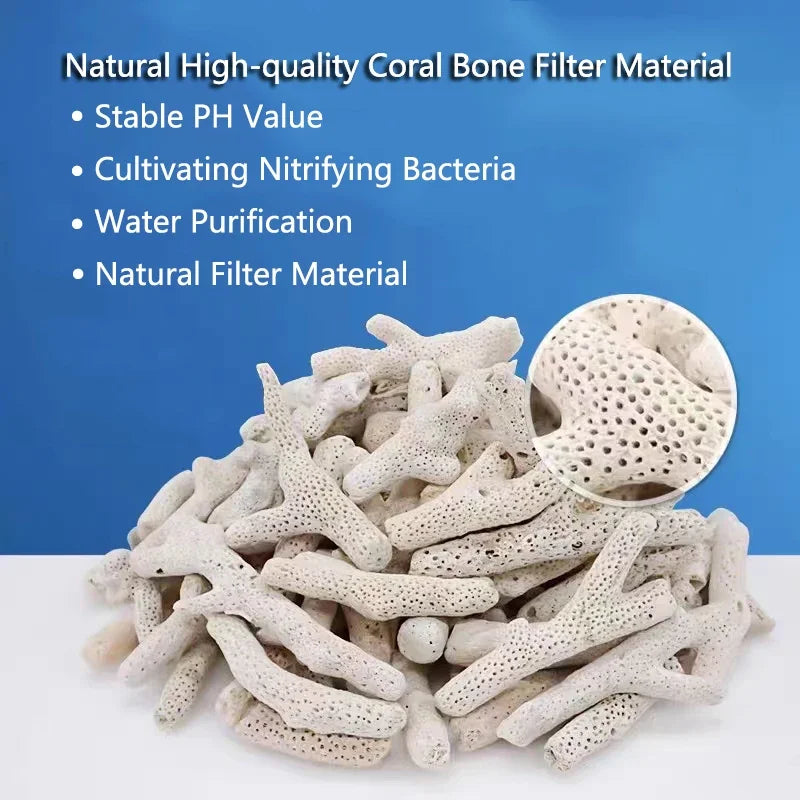 Corallo naturale filtro acquario