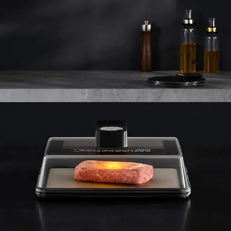 Ultra Fast Defrosting Plate Type C Charging Frozen Food Meat Beef Seafood Fresh Recovery Machine Quick Thawing Tray Kitchen